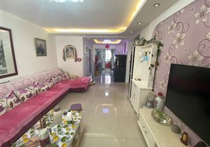 都旺新城菊芳园 H户型 满五 实验片