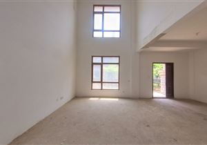 五矿别墅边户 带大院 带窗地下室 客厅带挑空