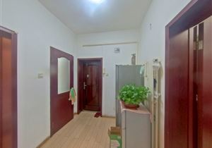 和平二片 岳阳集团 好楼层 公产