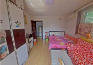 和平三片 岳阳集团 西康路片 直管公产