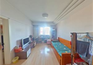 和平二片 中芯小学 有学籍 电梯房 金角双阳