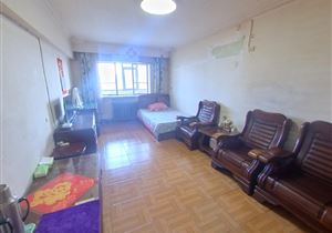 南京路 20附三片 阳面两室带厅 私产急售