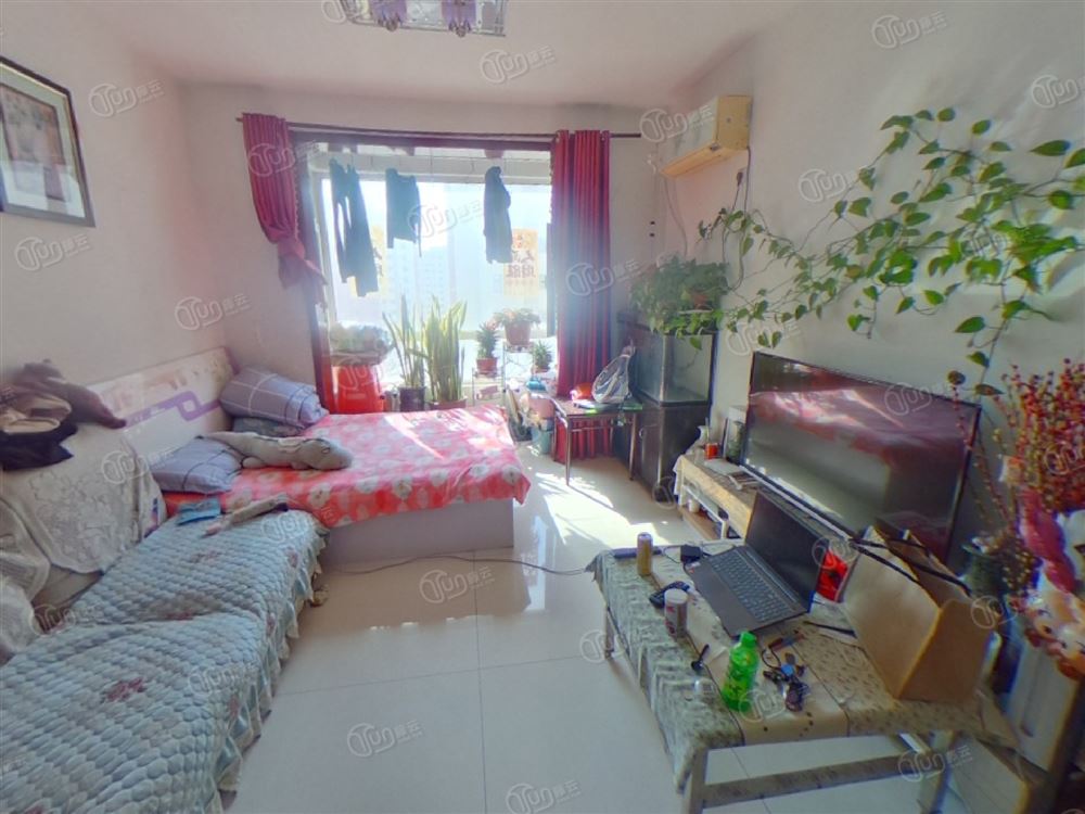 柴楼新庄园竹园